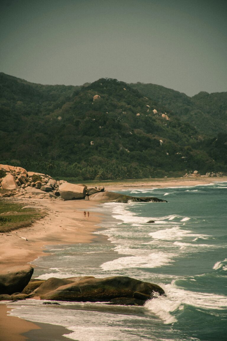 david-restrepo-u-J8tNxkkZY-unsplash